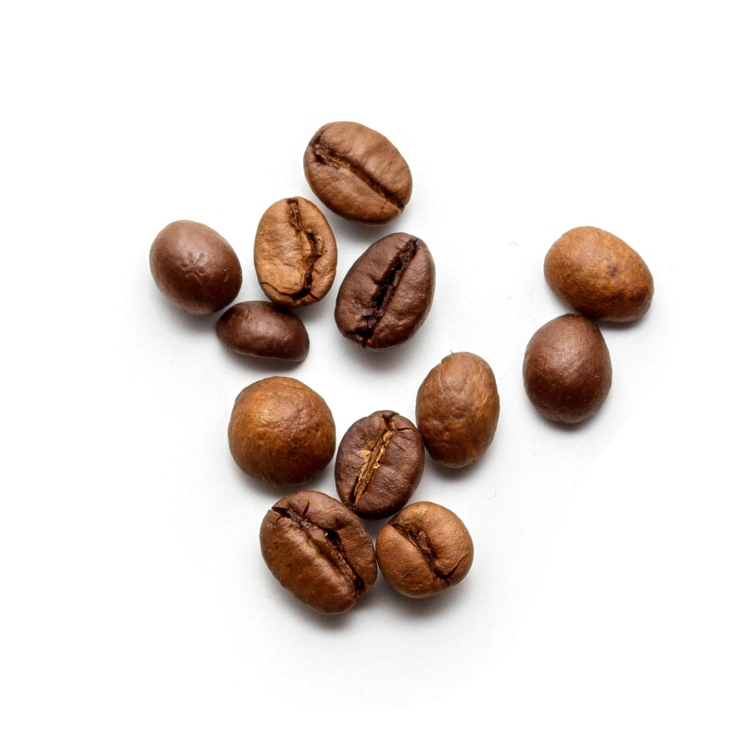 ARABICA COFFEE